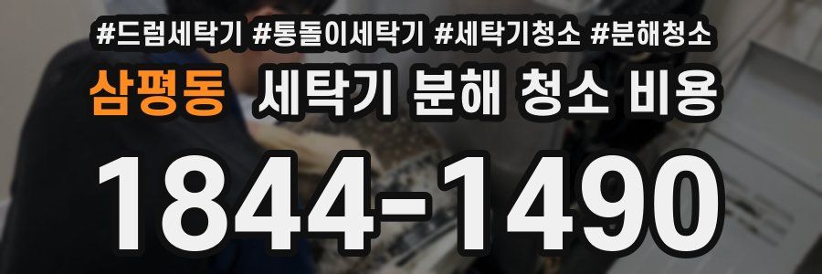 삼평동 세탁기 분해 청소 비용