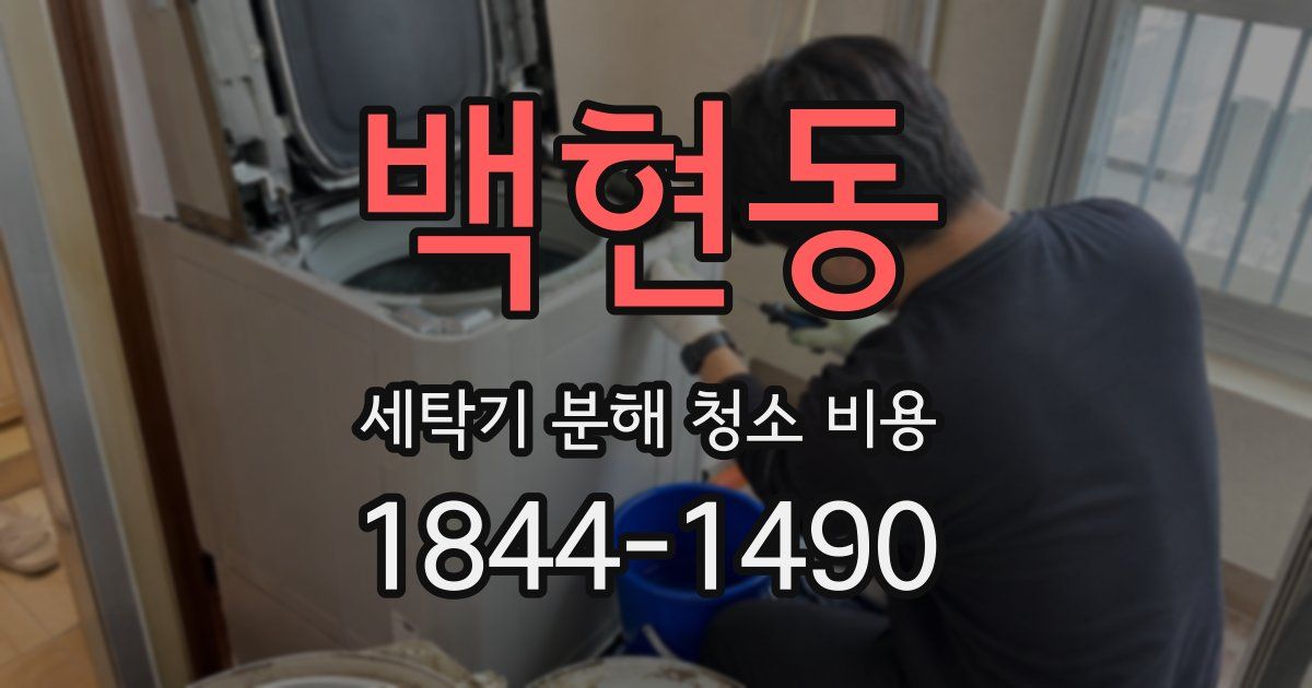 백현동 세탁기 분해 청소 비용