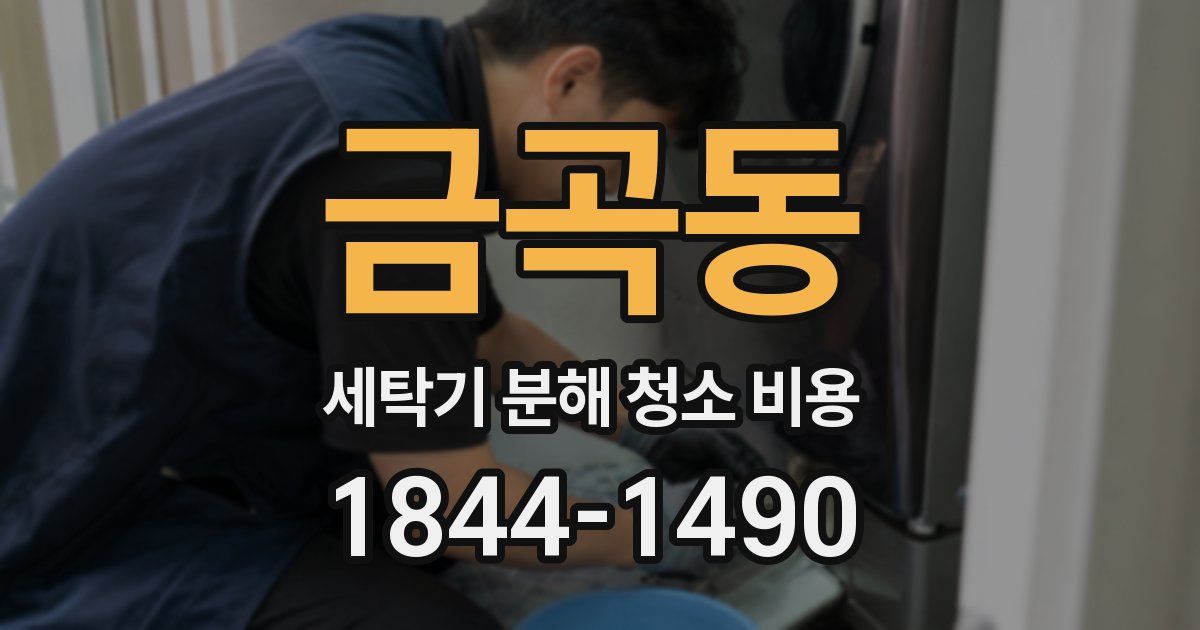 금곡동 세탁기 분해 청소 비용