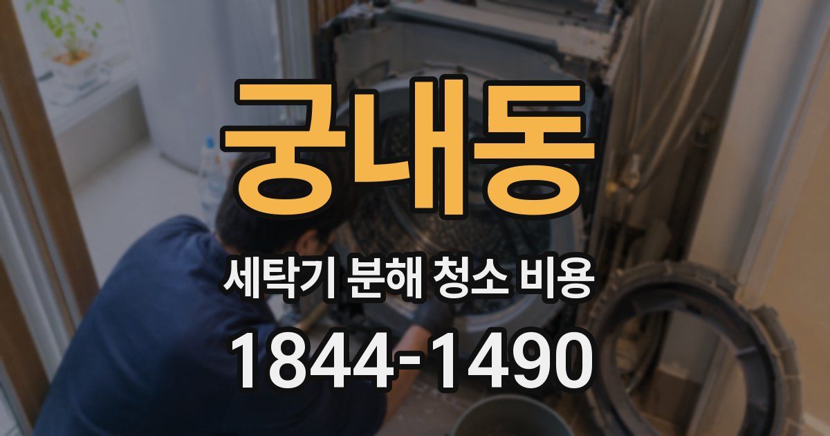 궁내동 세탁기 분해 청소 비용