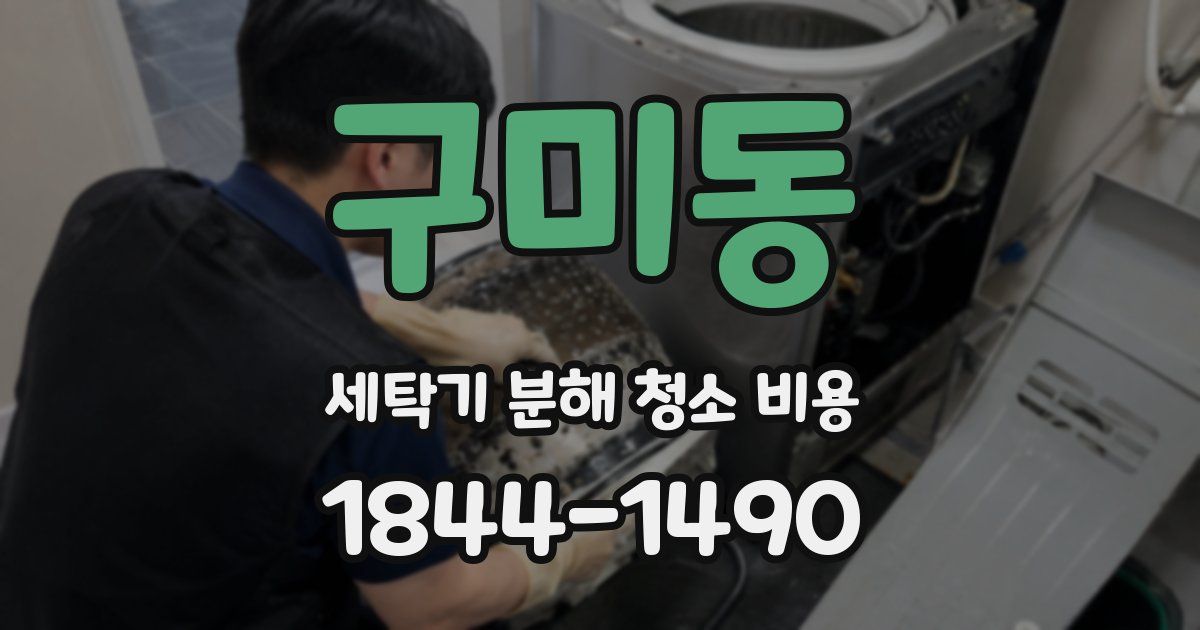 구미동 세탁기 분해 청소 비용