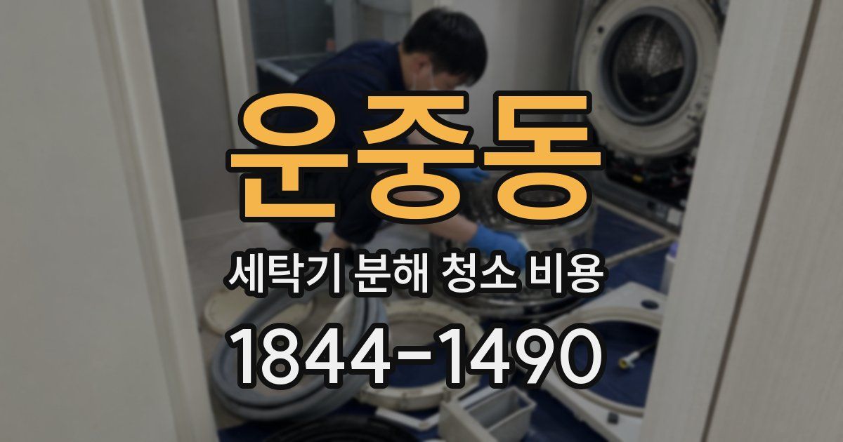 운중동 세탁기 분해 청소 비용