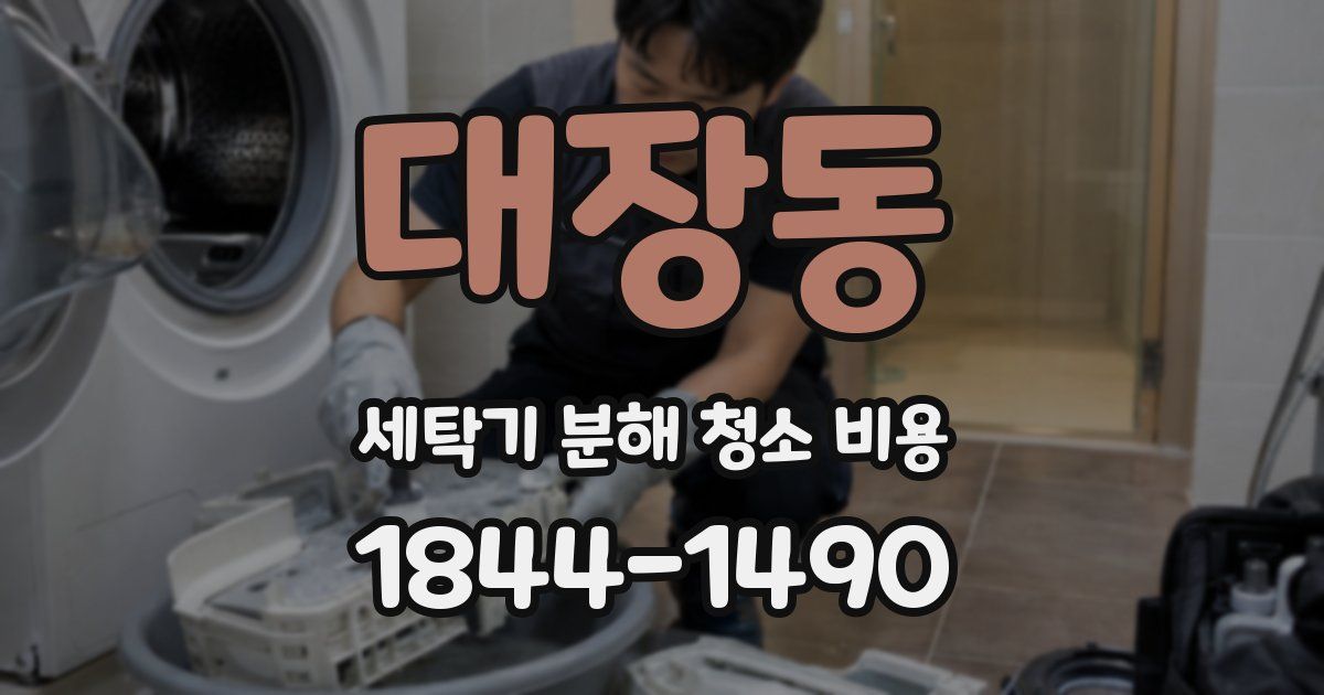 대장동 세탁기 분해 청소 비용