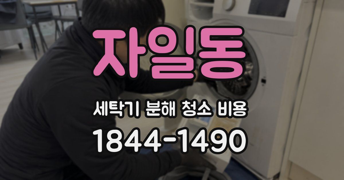 자일동 세탁기 분해 청소 비용