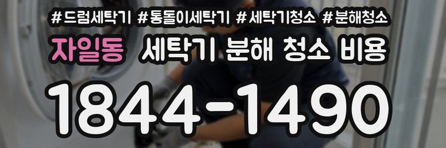 자일동 세탁기 분해 청소 비용