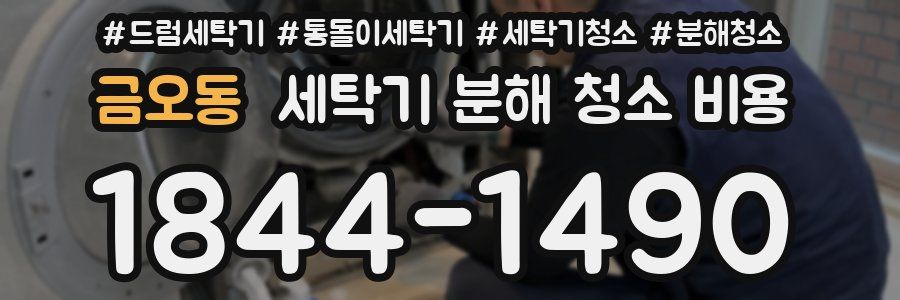 금오동 세탁기 분해 청소 비용