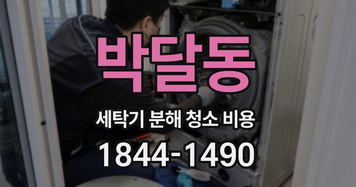 박달동 세탁기 분해 청소 비용