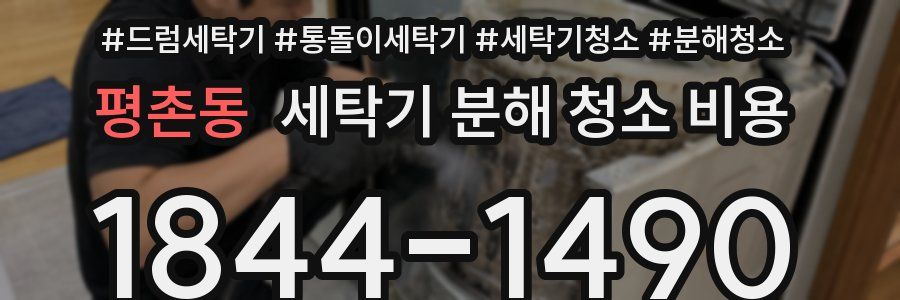 평촌동 세탁기 분해 청소 비용