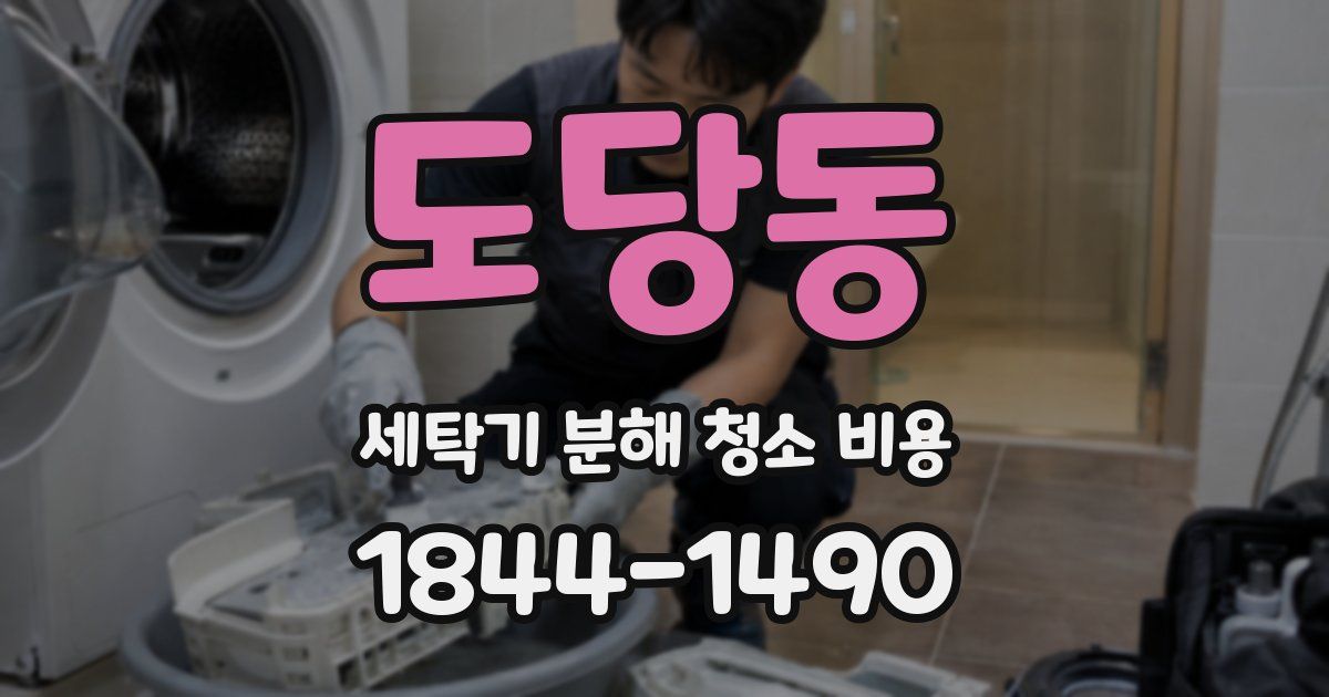 도당동 세탁기 분해 청소 비용