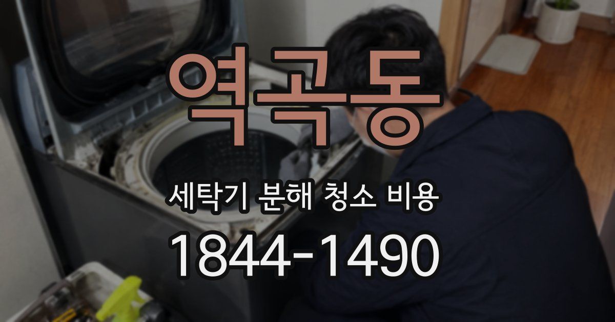 역곡동 세탁기 분해 청소 비용