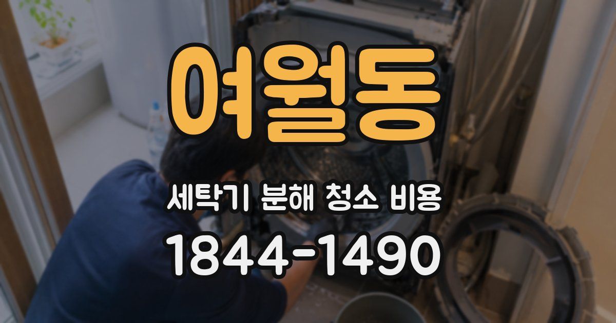 여월동 세탁기 분해 청소 비용