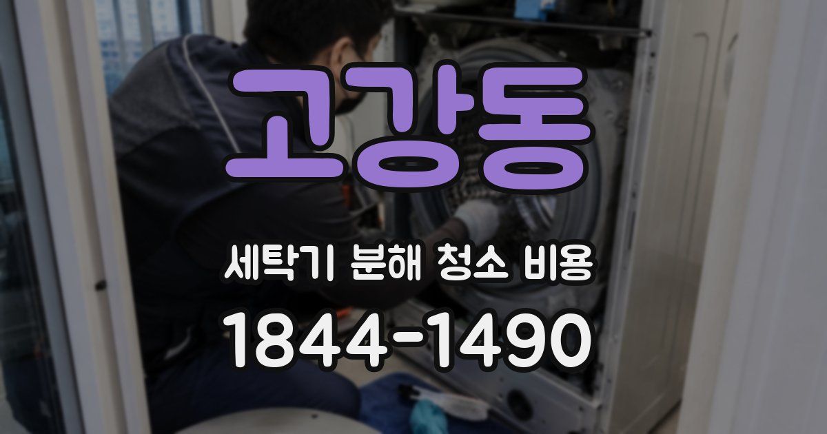 고강동 세탁기 분해 청소 비용