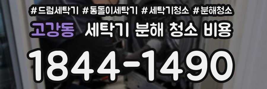 고강동 세탁기 분해 청소 비용