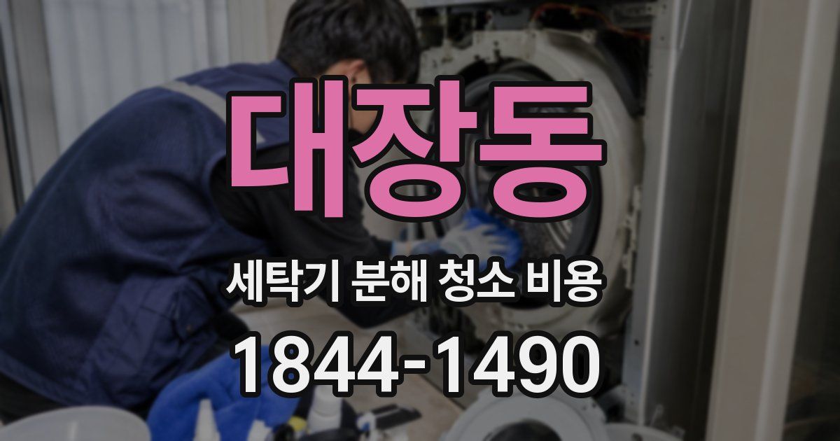 대장동 세탁기 분해 청소 비용