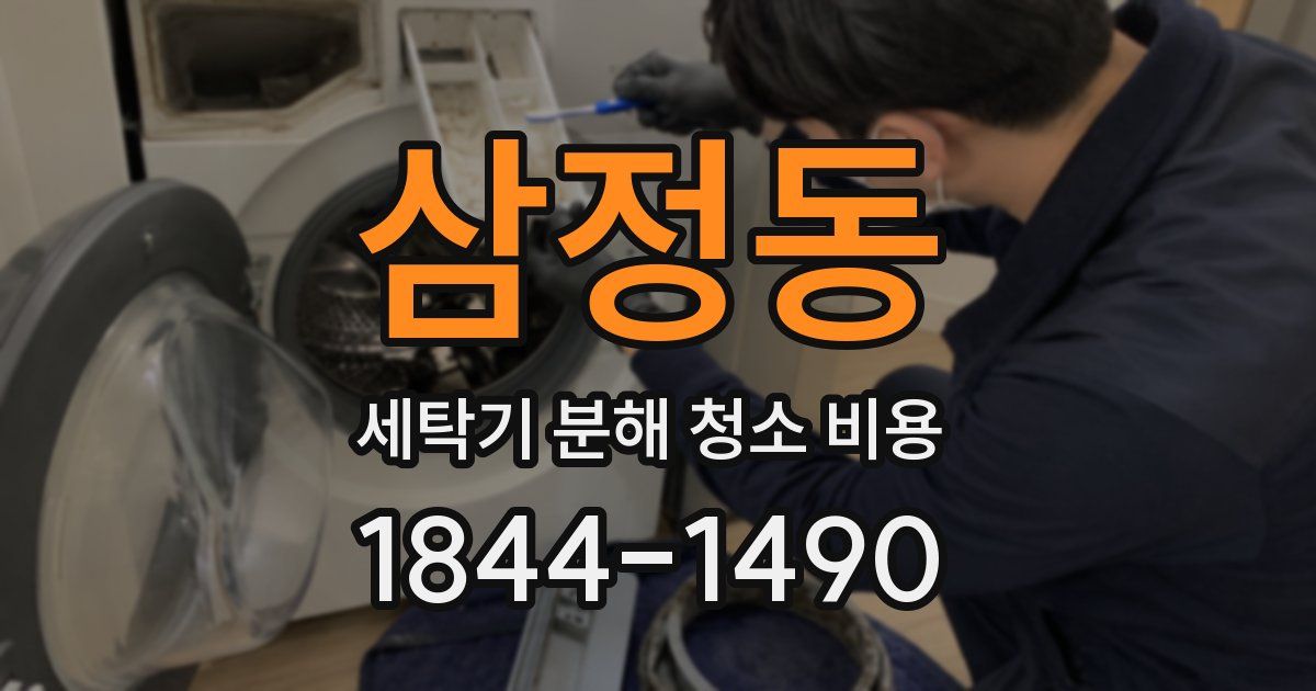 삼정동 세탁기 분해 청소 비용