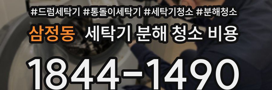 삼정동 세탁기 분해 청소 비용