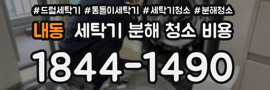 내동 세탁기 분해 청소 비용