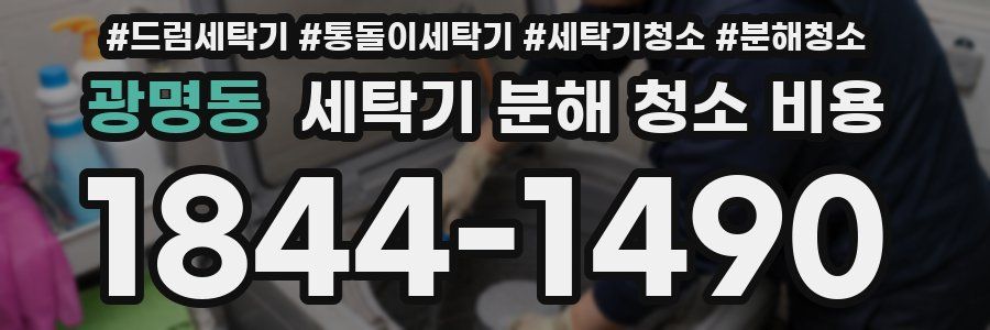 광명동 세탁기 분해 청소 비용