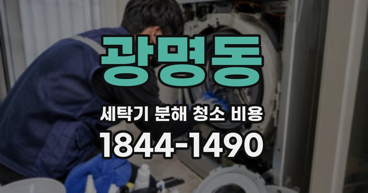 광명동 세탁기 분해 청소 비용