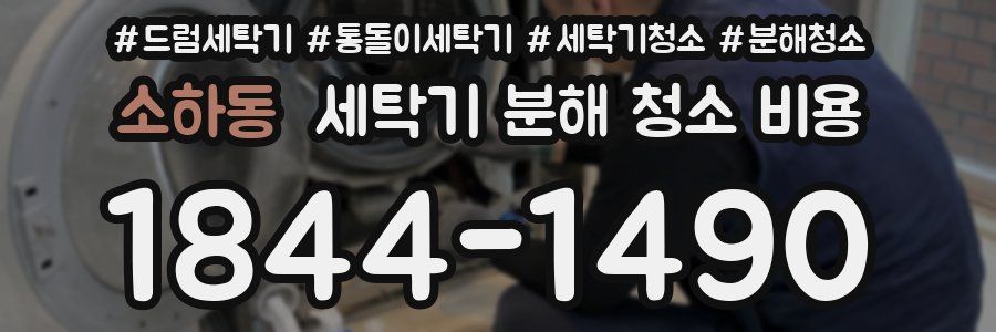 소하동 세탁기 분해 청소 비용