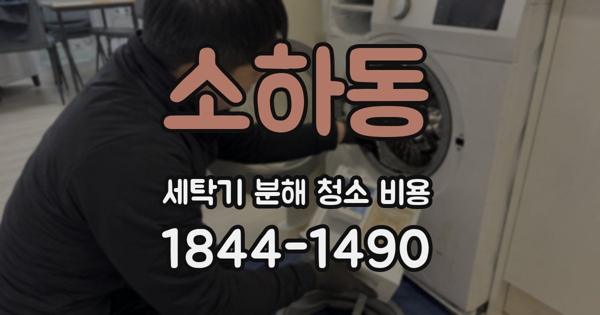 소하동 세탁기 분해 청소 비용