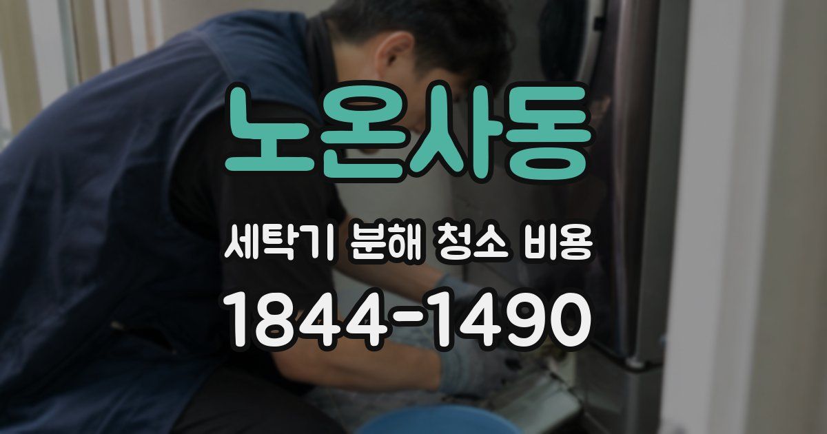 노온사동 세탁기 분해 청소 비용