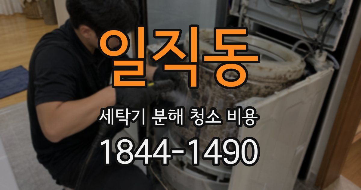 일직동 세탁기 분해 청소 비용