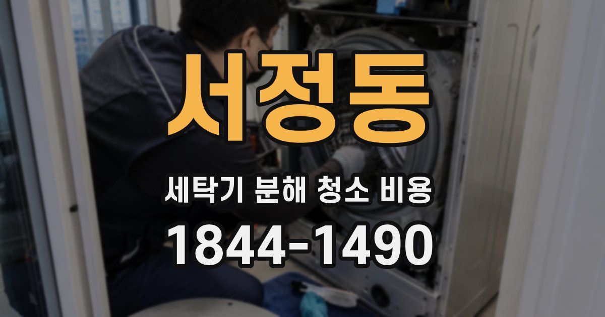 서정동 세탁기 분해 청소 비용