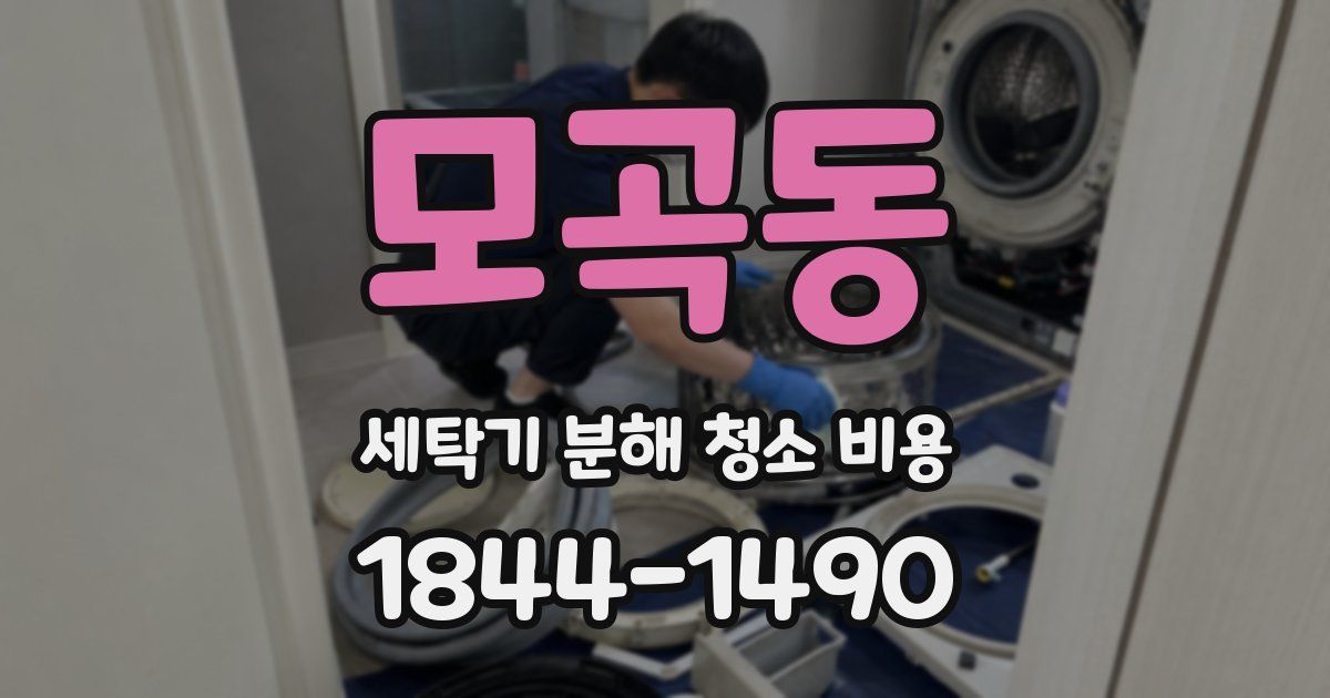 모곡동 세탁기 분해 청소 비용