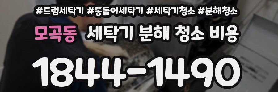 모곡동 세탁기 분해 청소 비용
