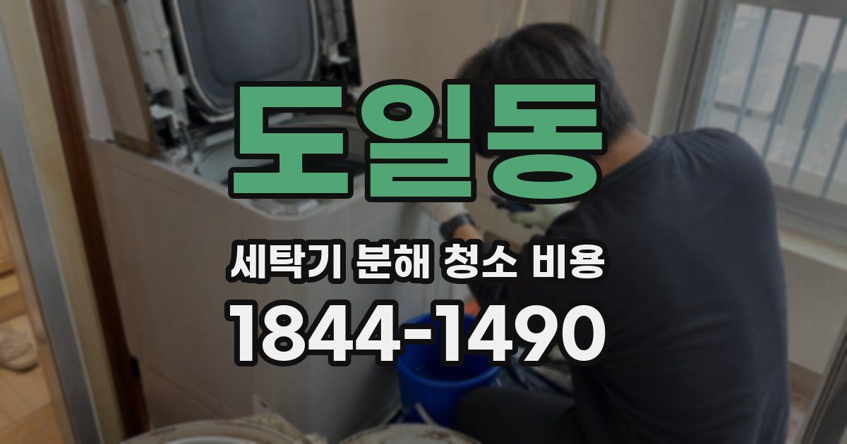 도일동 세탁기 분해 청소 비용