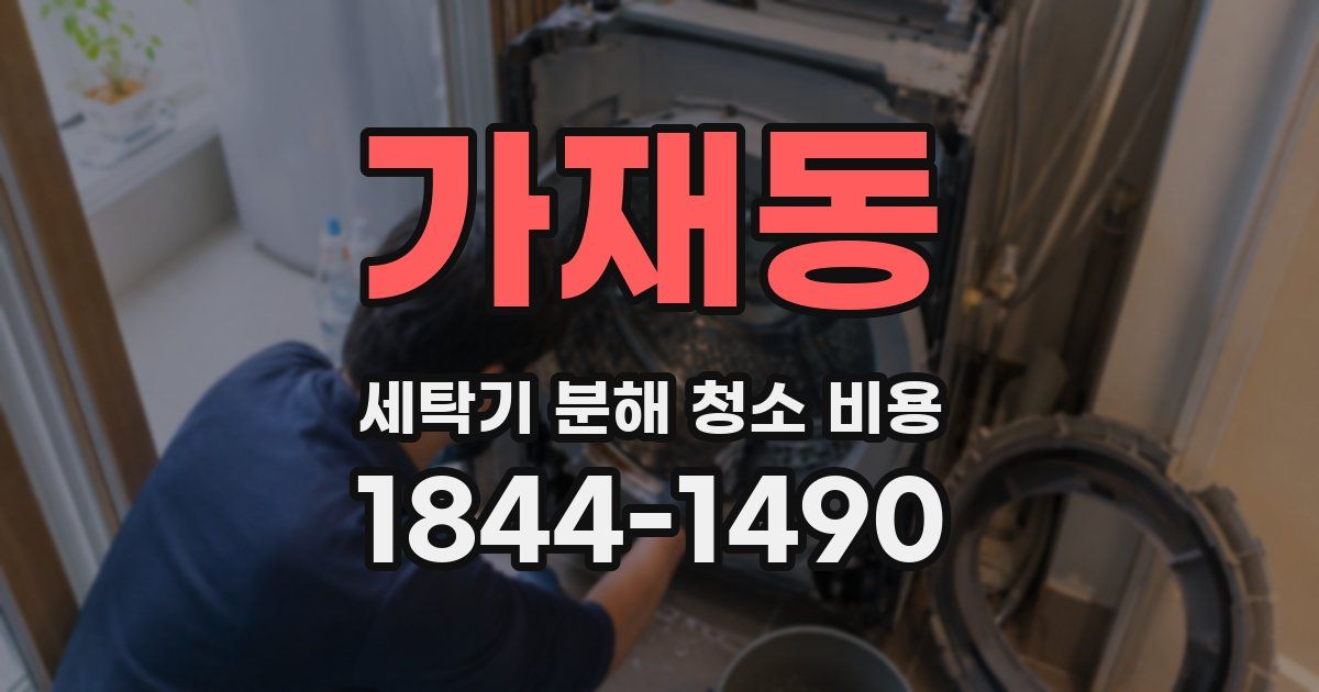 가재동 세탁기 분해 청소 비용