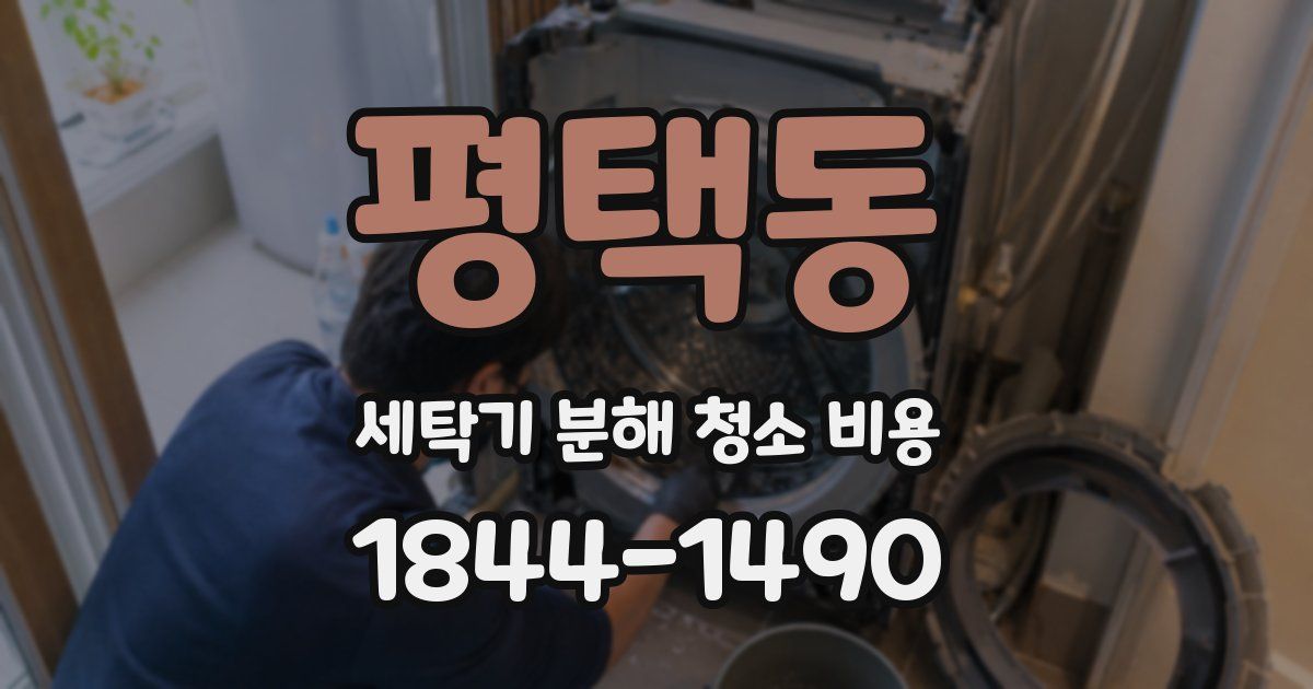 평택동 세탁기 분해 청소 비용