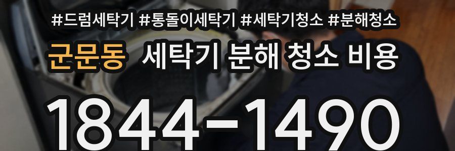 군문동 세탁기 분해 청소 비용