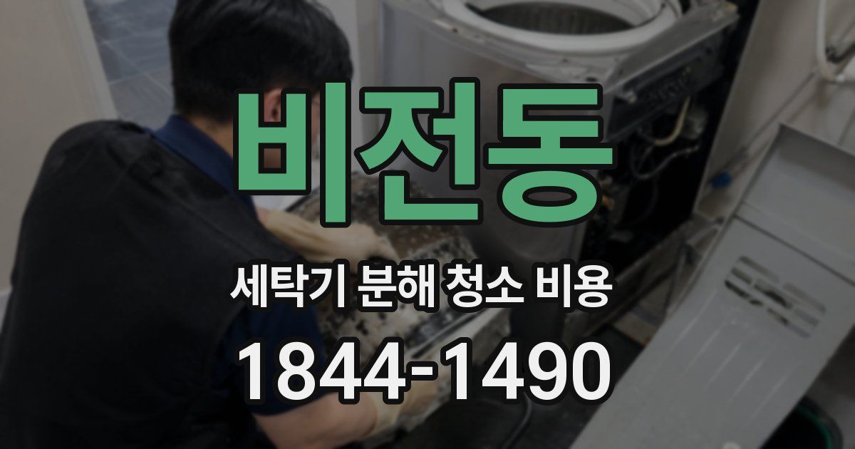 비전동 세탁기 분해 청소 비용