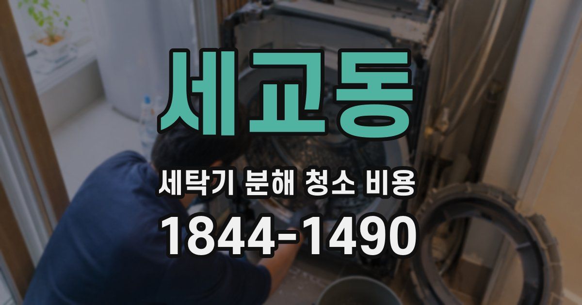 세교동 세탁기 분해 청소 비용