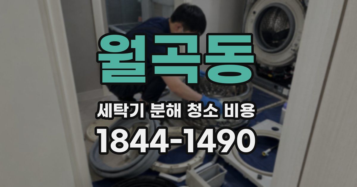 월곡동 세탁기 분해 청소 비용