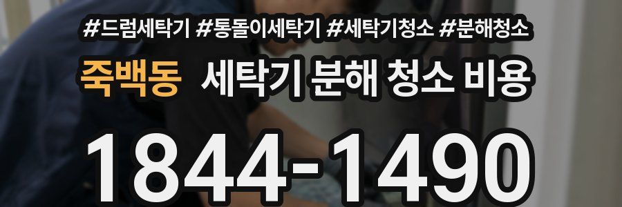 죽백동 세탁기 분해 청소 비용