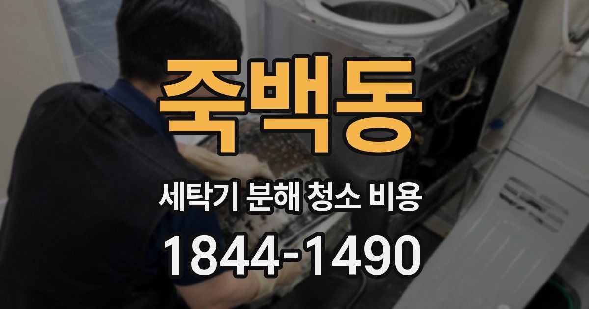 죽백동 세탁기 분해 청소 비용