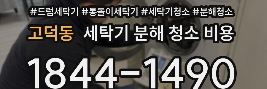 고덕동 세탁기 분해 청소 비용