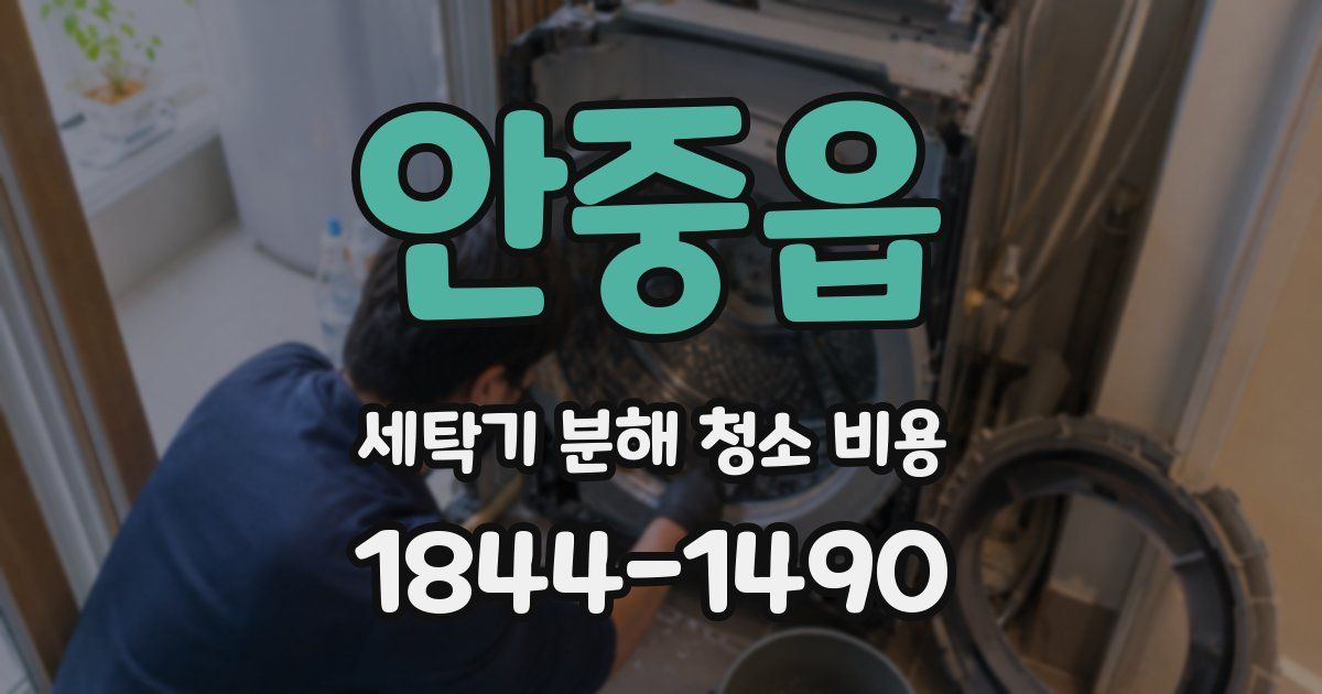 안중읍 세탁기 분해 청소 비용