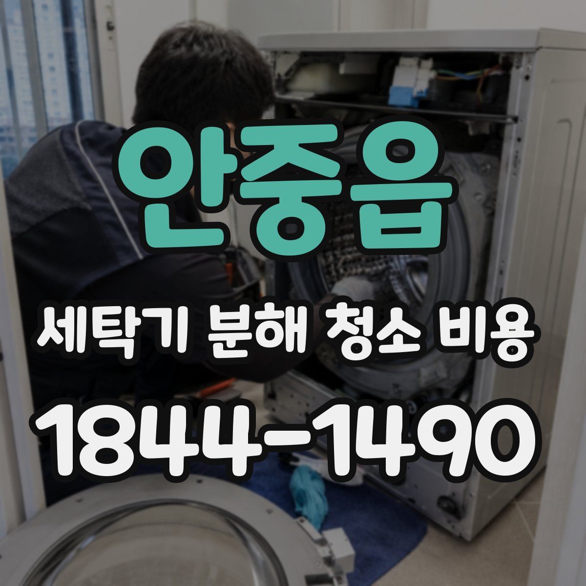 안중읍 세탁기 분해 청소 비용