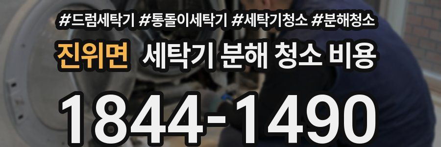 진위면 세탁기 분해 청소 비용