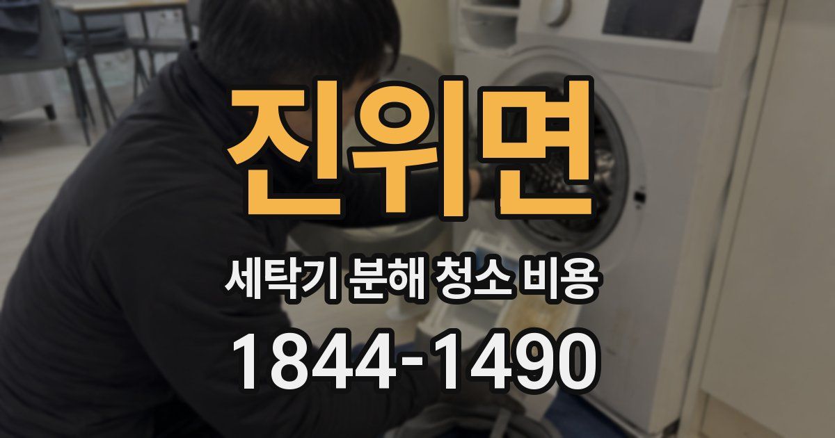 진위면 세탁기 분해 청소 비용