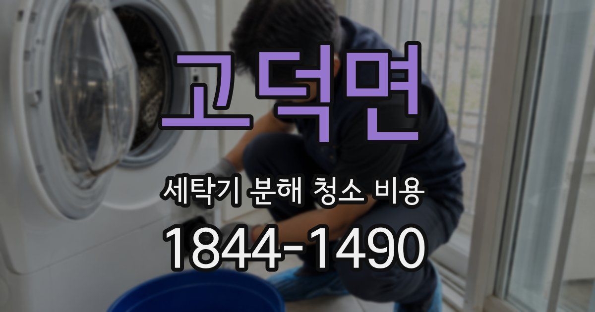 고덕면 세탁기 분해 청소 비용