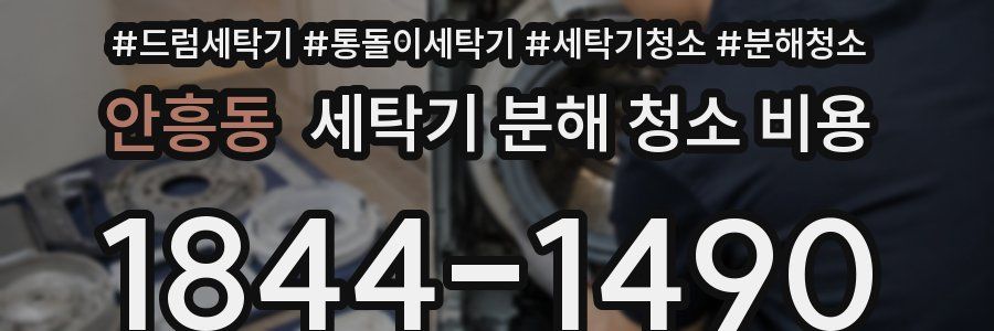 안흥동 세탁기 분해 청소 비용