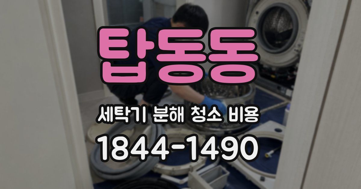 탑동동 세탁기 분해 청소 비용