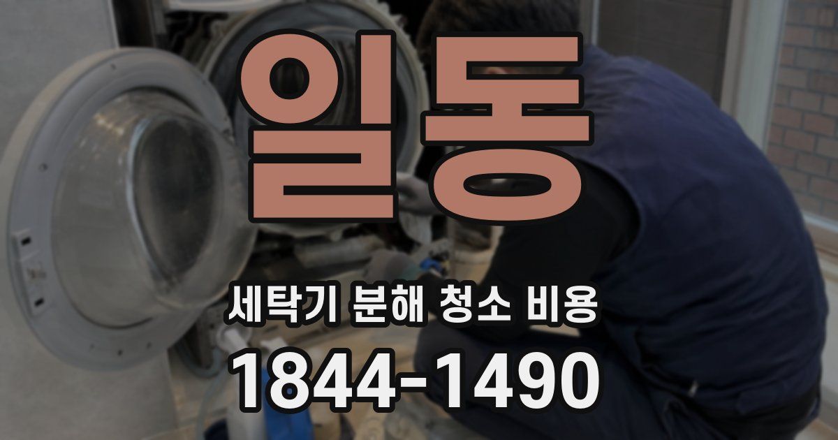 일동 세탁기 분해 청소 비용