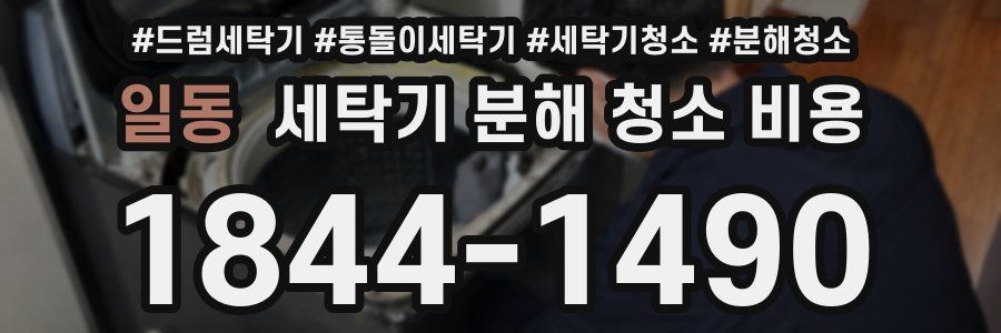 일동 세탁기 분해 청소 비용