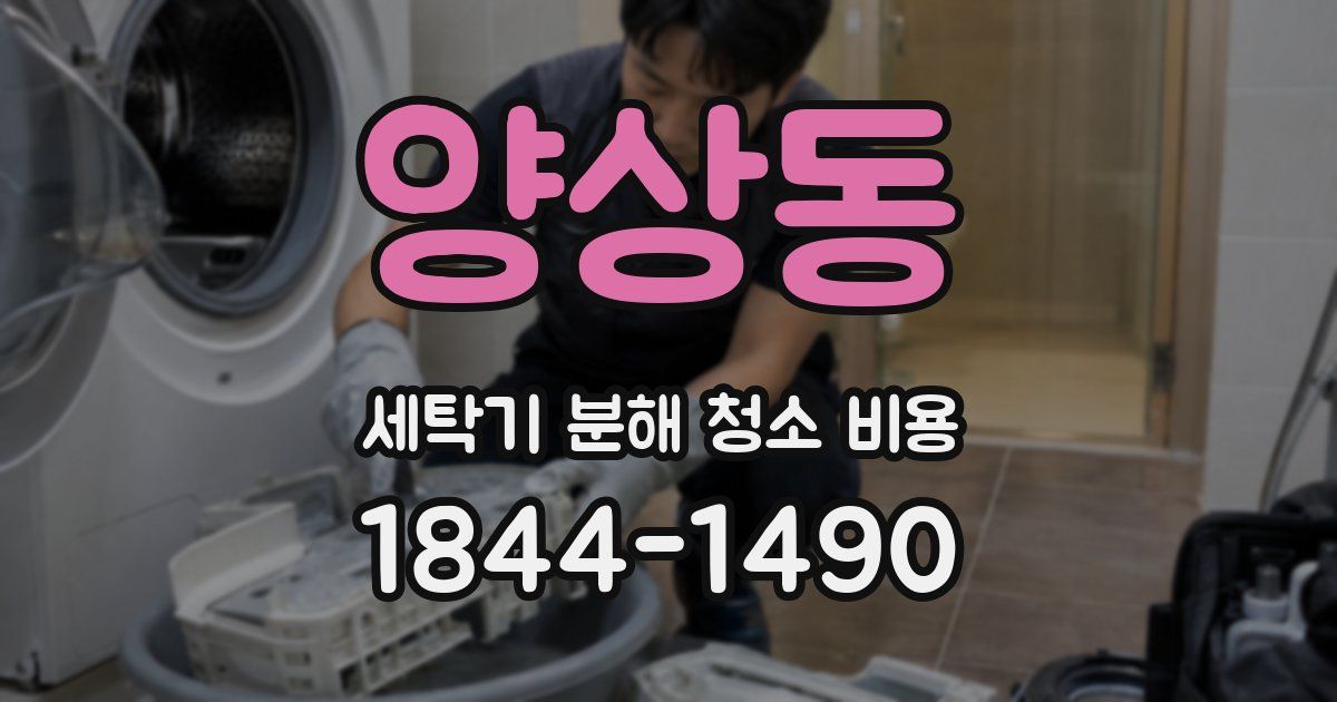 양상동 세탁기 분해 청소 비용